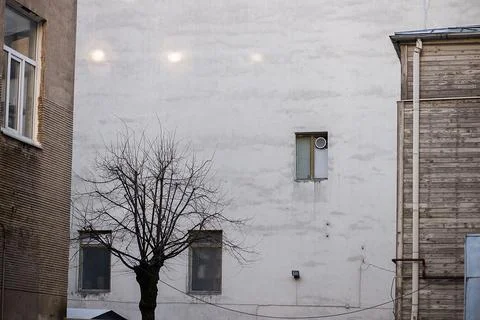 Bare Tree Against Plain Urban Building Facade Stockfoto's
