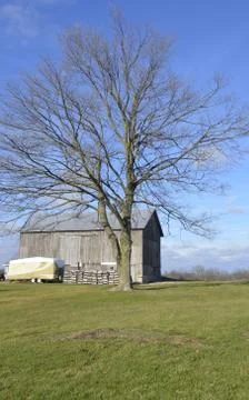 Bare tree and barn Stock Photos