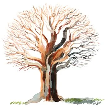 Bare tree and green grass Stock-Illustration