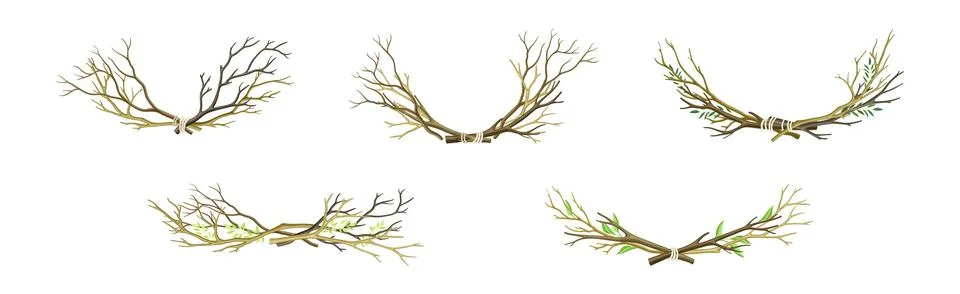 Bare Tree Branch Entangled in Semi Circle Vector Set Stock Illustration