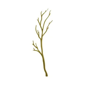 Bare Tree Branch or Twigs with Naked Stem and Snag Vector Illustration Stockillustratie