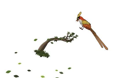 Bare tree branch with perched colorful hoopoe bird long tail and crest Stock Illustration