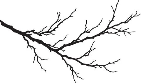 Bare Tree Branch Silhouette Vector Illustration 스톡 일러스트