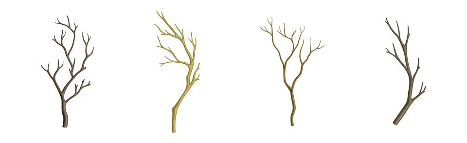 Bare Tree Branch with Stem and Limb Vector Set Stock Illustration