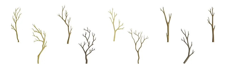 Bare Tree Branch with Stem and Limb Vector Set Stock Illustration