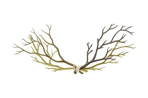 Bare Tree Branch Tied in Semi Circle Vector Illustration Stockillustratie
