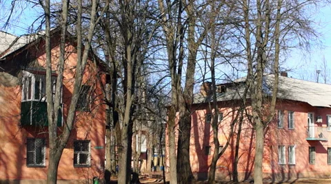 Bare tree branches (3) Stock-Footage 48630796