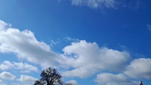 Bare tree branches against a blue sky with moving white clouds Stock Footage 330160903