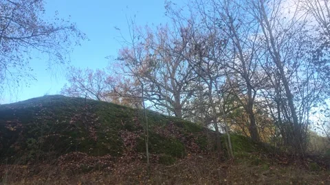 Bare Tree Branches And Earthen Mound Silhouetted Against Blue Sky Stock Footage 348170666