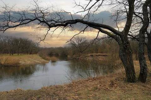 Bare tree branches arch over a calm river reflecting the cloudy sunset sky Stock Photos