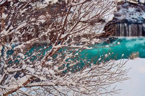 Bare tree branches covered in powdered snow, with a blurred background of a.. Stock Photos