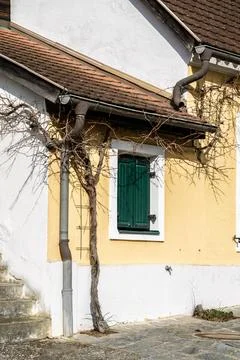 Bare tree branches frame a window. 库存照片