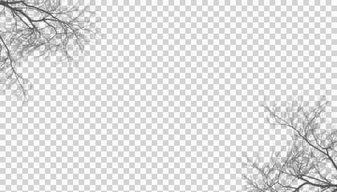 Bare tree branches framing transparent background for winter design elements Stockillustratie