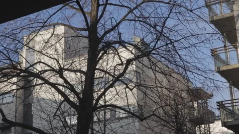 Bare Tree Branches in Front of Modern Residential Buildings in Pilestredet Park Stock Footage 340828557