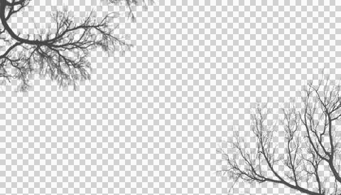Bare tree branches isolated on transparent background for nature designs Illustration