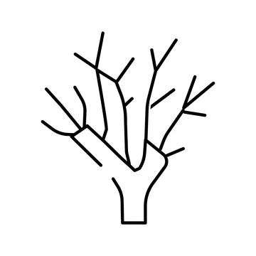 Bare tree branches outlining a dormant winter nature icon Stock Illustration