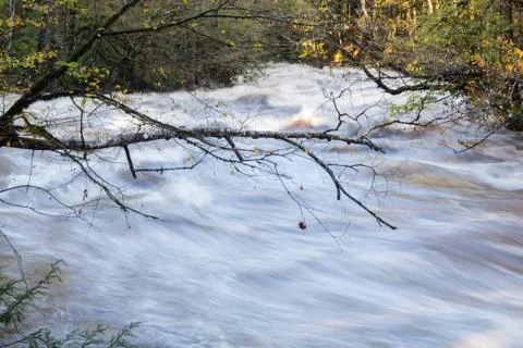 Bare tree branches over rushing flood waters in the Great Smoky Mountains Stock Photos