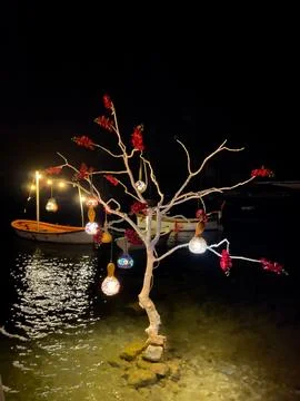 A bare tree decorated with lights and flowers stands in the water at night Photos