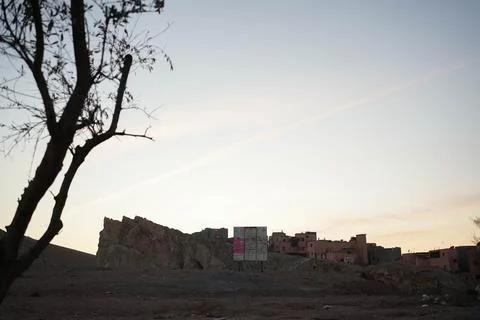 Bare tree in the desert in the sunset Stock-Fotos