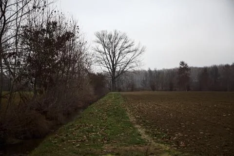 Bare tree by the edge of a stream of water next to a cultivated field on a .. Stock Photos