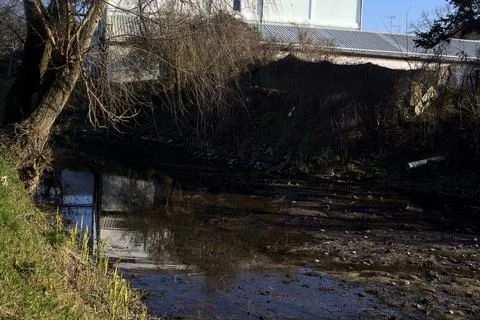 Bare tree by the edge of a stream of water on a sunny day in the italian co.. Stock Photos