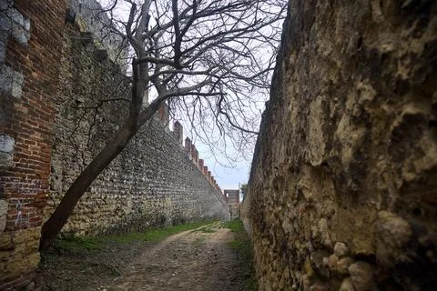 Bare tree growing sideways on a dirt path bordered by fortifications on a c.. Stock Photos