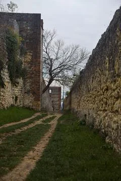 Bare tree growing sideways on a dirt path bordered by fortifications on a c.. Stock Photos