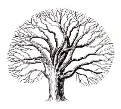Bare tree Illustrazione stock