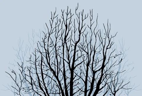 Bare tree limbs Stock Illustration