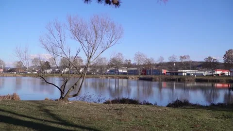 A bare tree on a shore of lake Bubanj with buildings and cars on other side Stock-Footage 270501248
