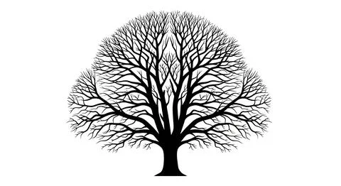Bare Tree Silhouette - Intricate Branches Against White Background Stock Illustration