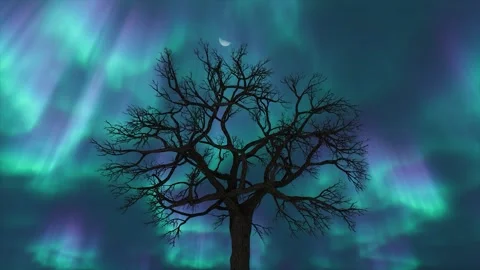 Bare Tree Silhouetted Against Vibrant Aurora Borealis Night Sky Stock-Footage 331050044