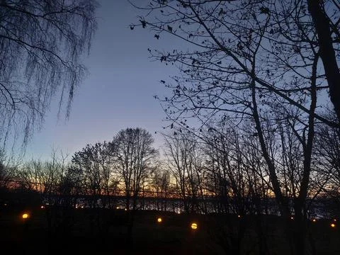 Bare Tree Silhouettes Against Dramatic Winter Twilight Sky Stock Photos
