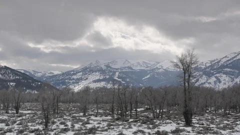 Bare tree in snowy landscape with snowcapped mountains in background Stock Footage 97610465