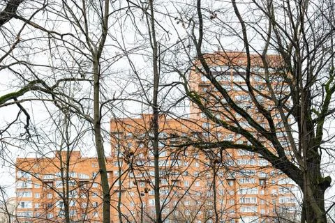 Bare tree trunks and high-rise apartment house Stock Photos
