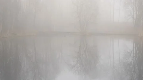 Bare Tree Water Reflection and Misty Winter Morning Scene, Tilt Up Stock Footage 190353090