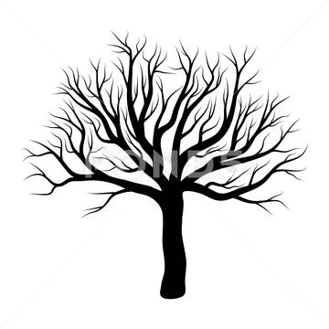 Bare tree winter design isolated on white background: Royalty Free ...