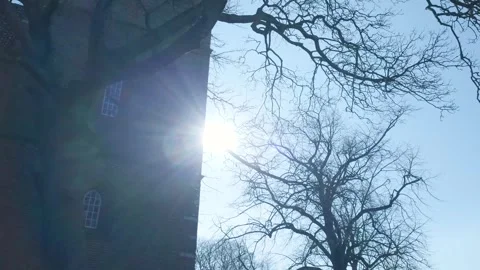 Bare tree winter sun flare next to a brick building Vidéo 331188700