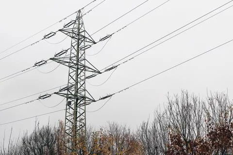 Bare trees against cloudy sky. Very high power transmission. Extra-high voltage 스톡 사진