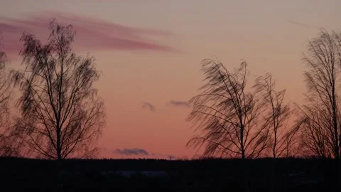 Bare trees against a red orange sunset sky, close up 库存影片 292648399