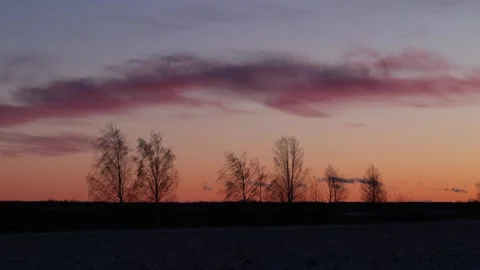 Bare trees against a red orange sunset sky Video stock 292648652