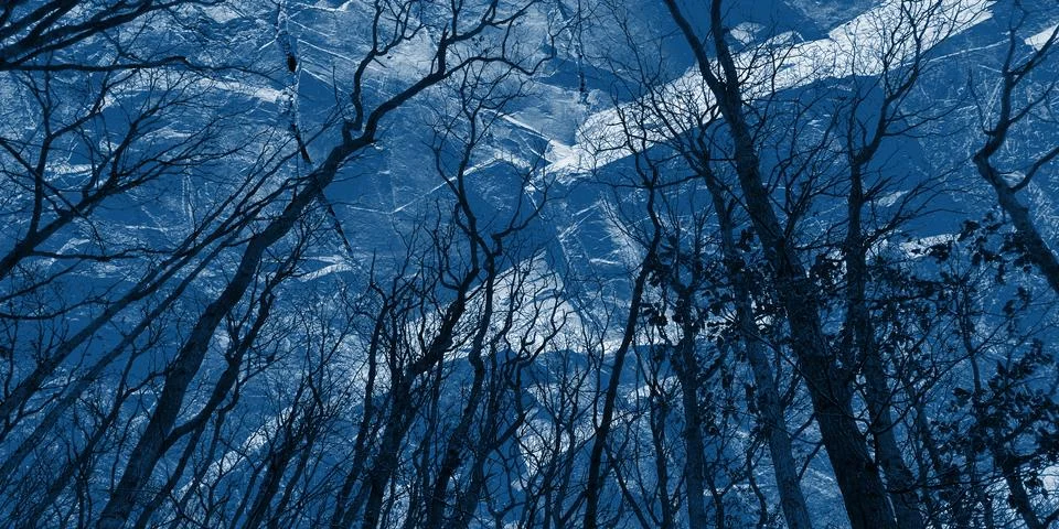 Bare trees against sharp stone rocks in classic blue.Concept of severe nature Stock Photos
