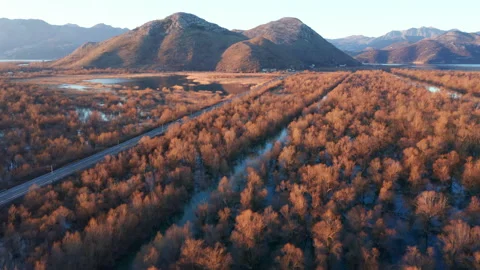 Bare trees and blue sky reflection in the swamp water. Stock-Footage 131878828