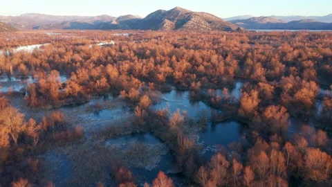 Bare trees and blue sky reflection in partly frozen lake Stock Footage 132297925