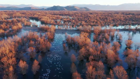 Bare trees and blue sky reflection in partly frozen lake Stock Footage 132301138