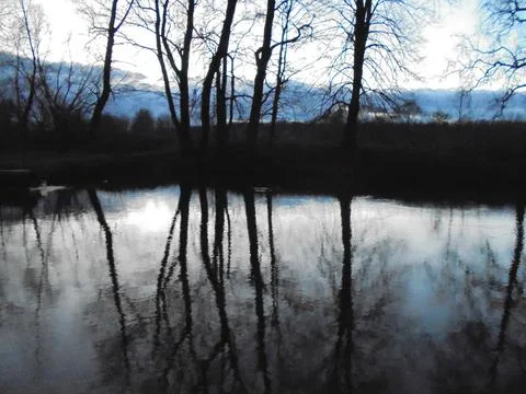 Bare trees and clouds reflecting in wind-whipped pond surface in scary manner. Stock Photos