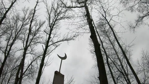Bare trees and crescent moon symbol in winter sky, wind shakes the branches of Stock Footage 285898498