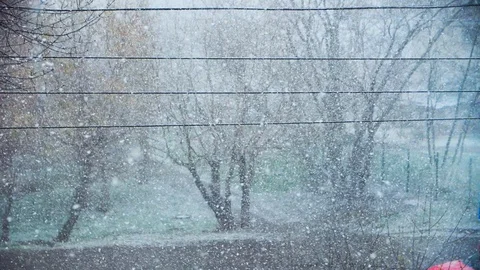 Bare trees and the grass covered by white, clean, fluffy snow, against the 動画素材 130113284