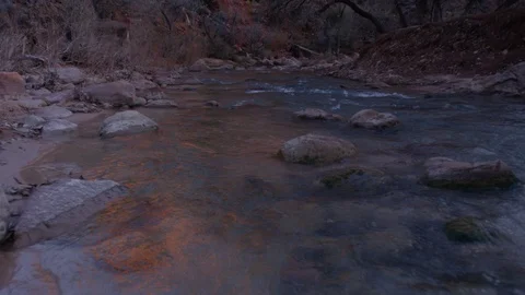 Bare trees and a river in front of Zion National Park Video stock 104110813
