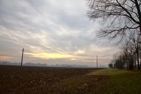 Bare trees that borders two field in late autumn in the italian countryside Stock Photos